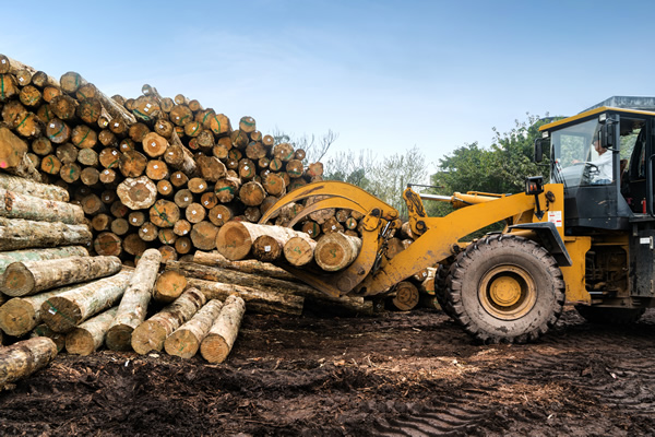 Logging Equipment
