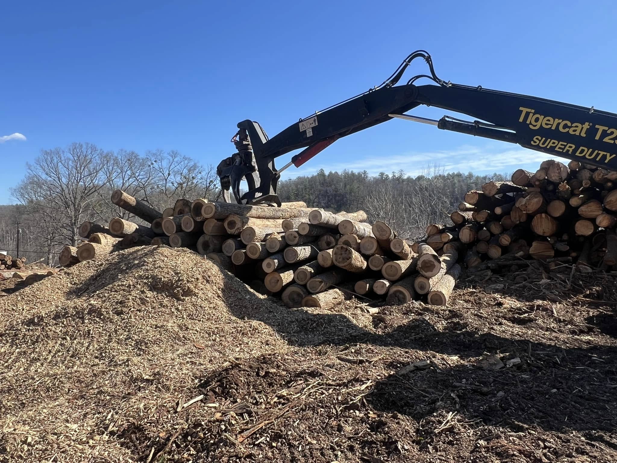 Poplar Peeler Logs Poplar Peeler Logs
