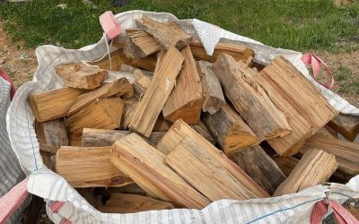 Is Heating Your Home with Firewood a Good Option in Central Virginia?