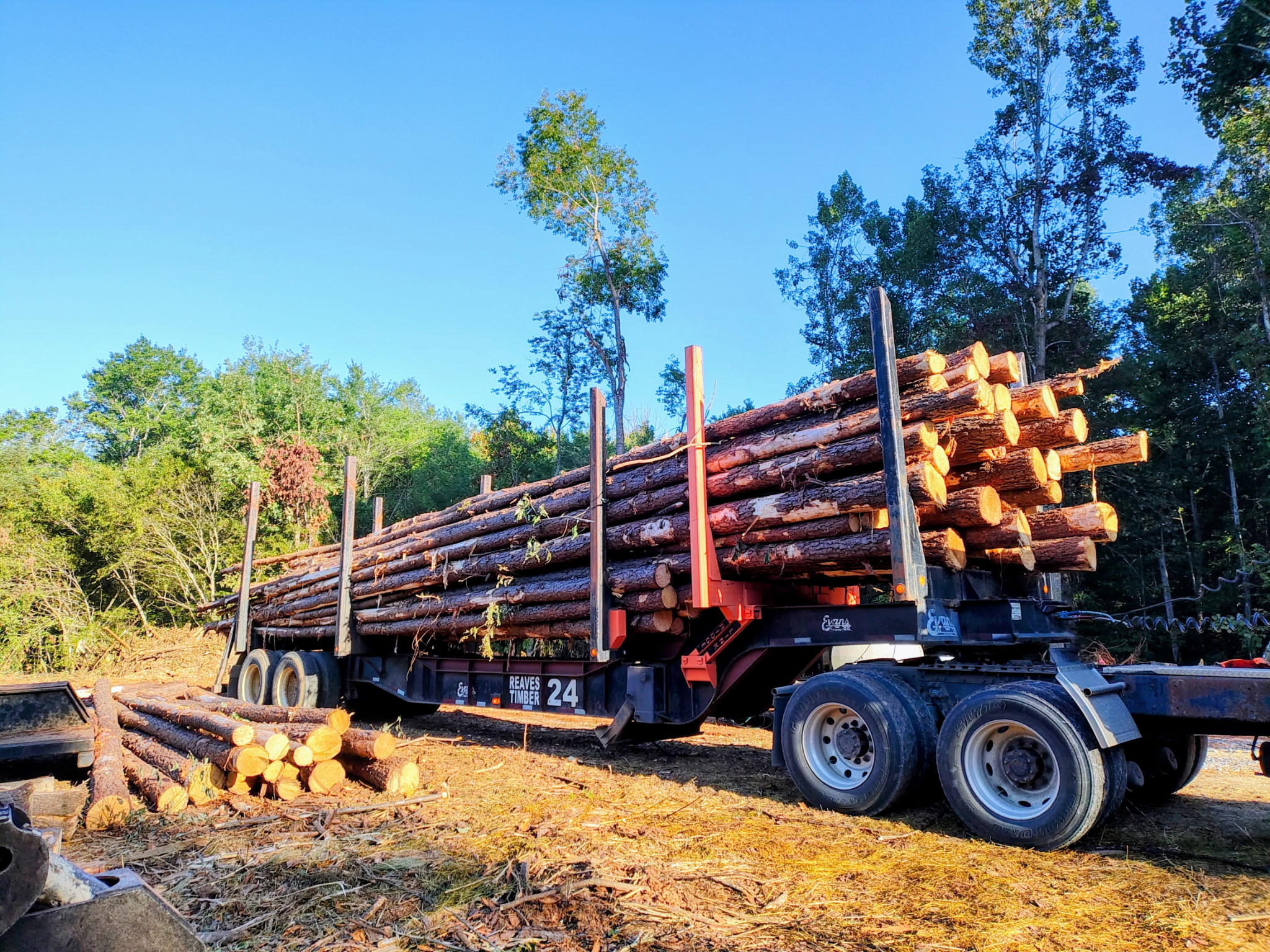 land clearing service