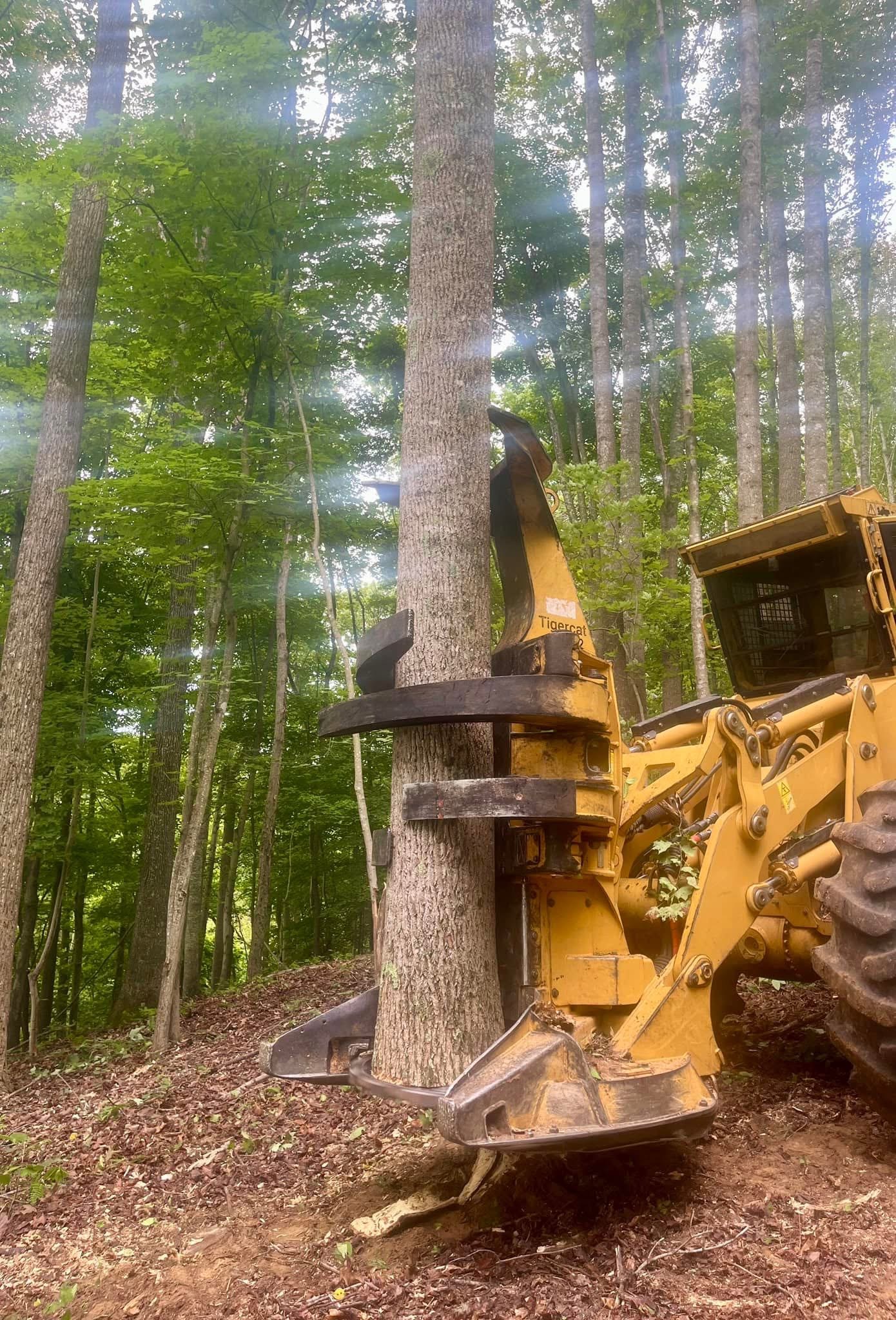 land clearing service