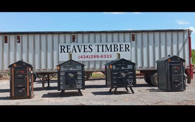 Is a Wood Stove or Fireplace Better for Your Big Island, VA Home?